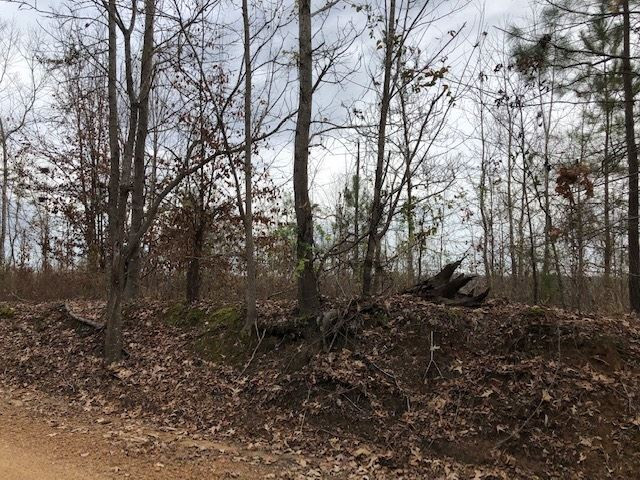 320 Beale Road Yazoo City, MS 39194 - Photo 6 of 15 Photo 6