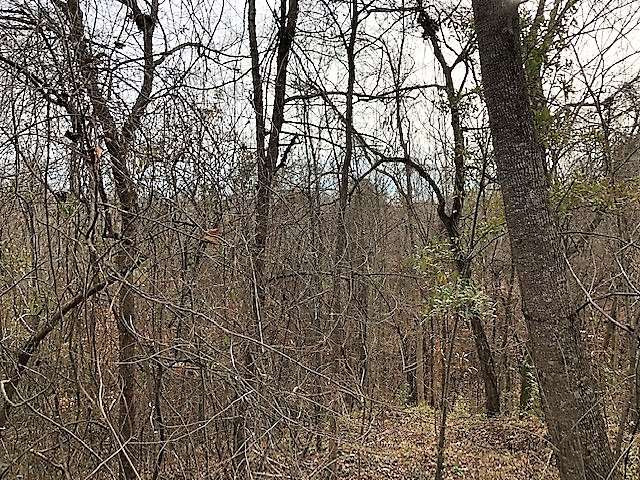 320 Beale Road Yazoo City, MS 39194 - Photo 7 of 15 Photo 7
