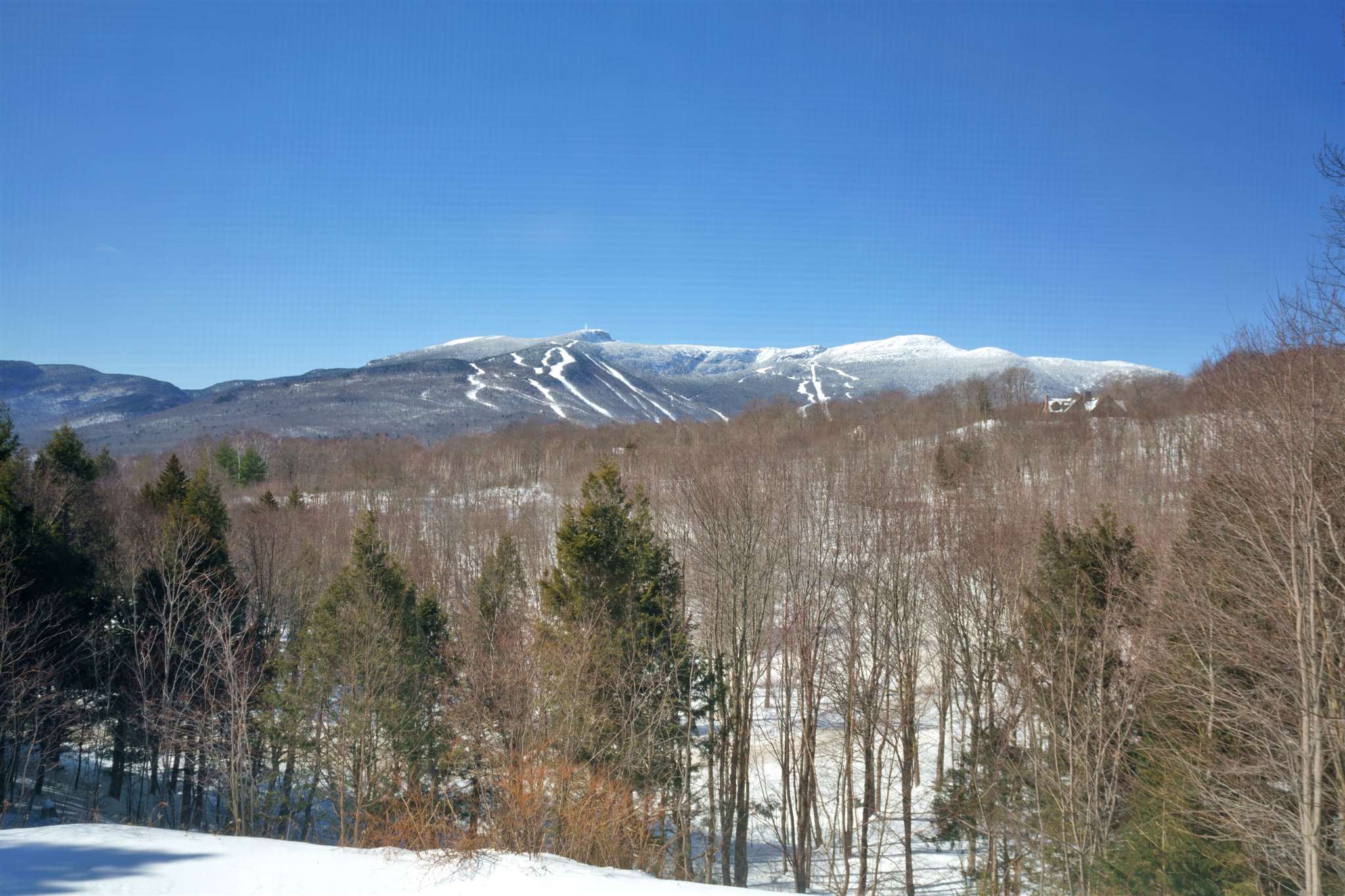 57 Billings Hill Road Stowe, VT 05672 - Photo 7 of 38 Gallery Image 7