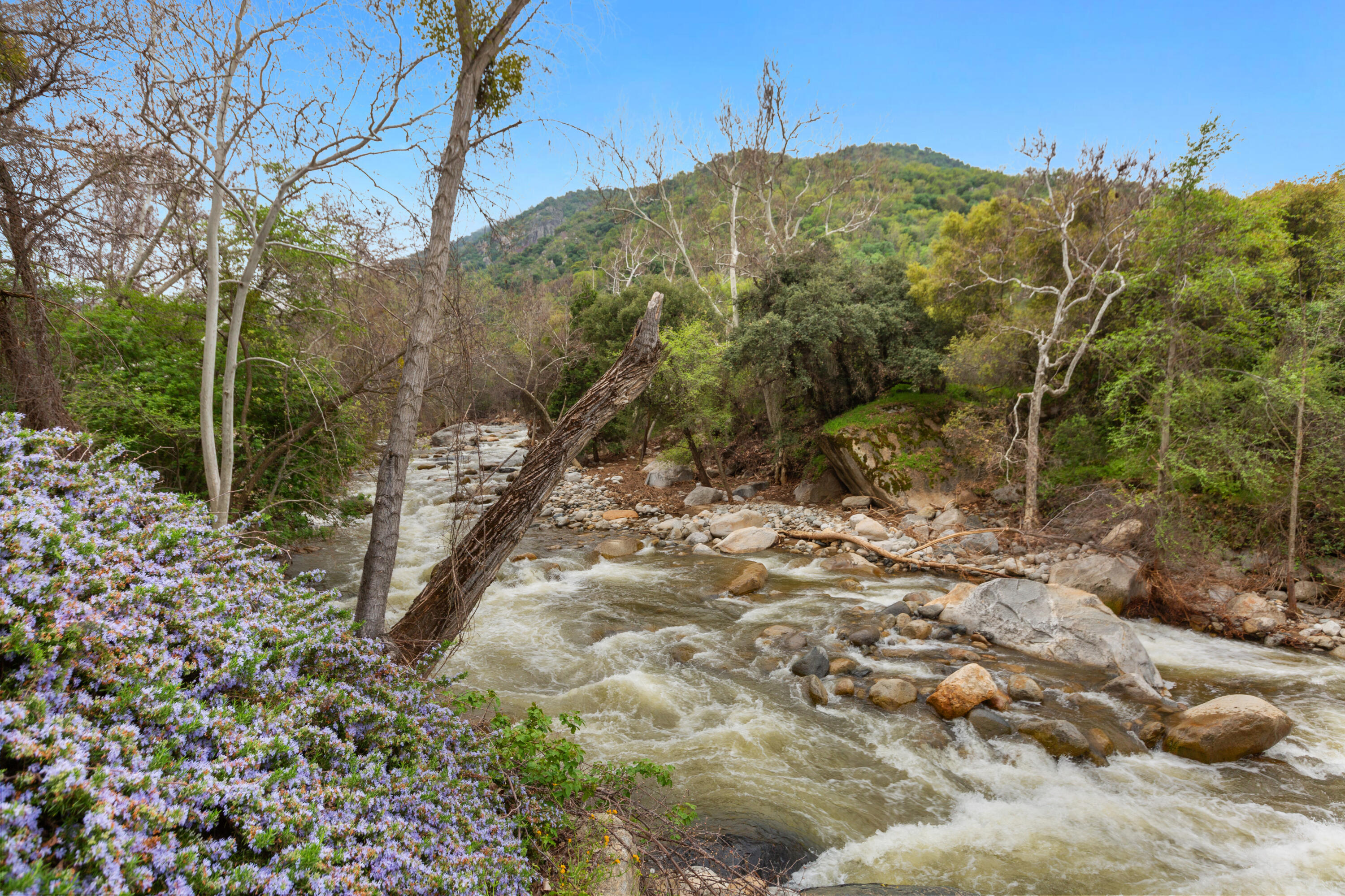 45490 South Fork Drive Three Rivers, CA 93271 - Photo 53 of 58 3S6A6222