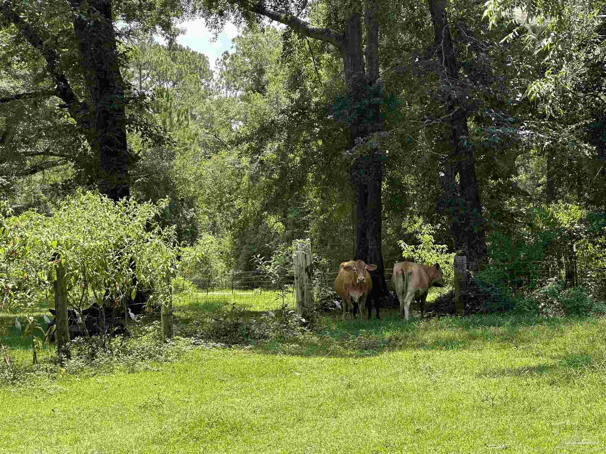 6 Bullard Road Milton, FL 32570 - Photo 2 of 3