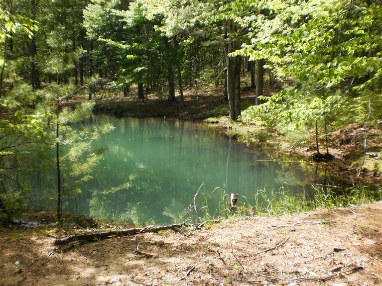 5458 River Road Manistee, MI 49660 - Photo 1 of 9 Primary Photo