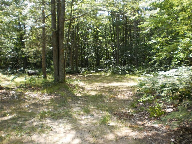 5458 River Road Manistee, MI 49660 - Photo 4 of 9 Additional Photo