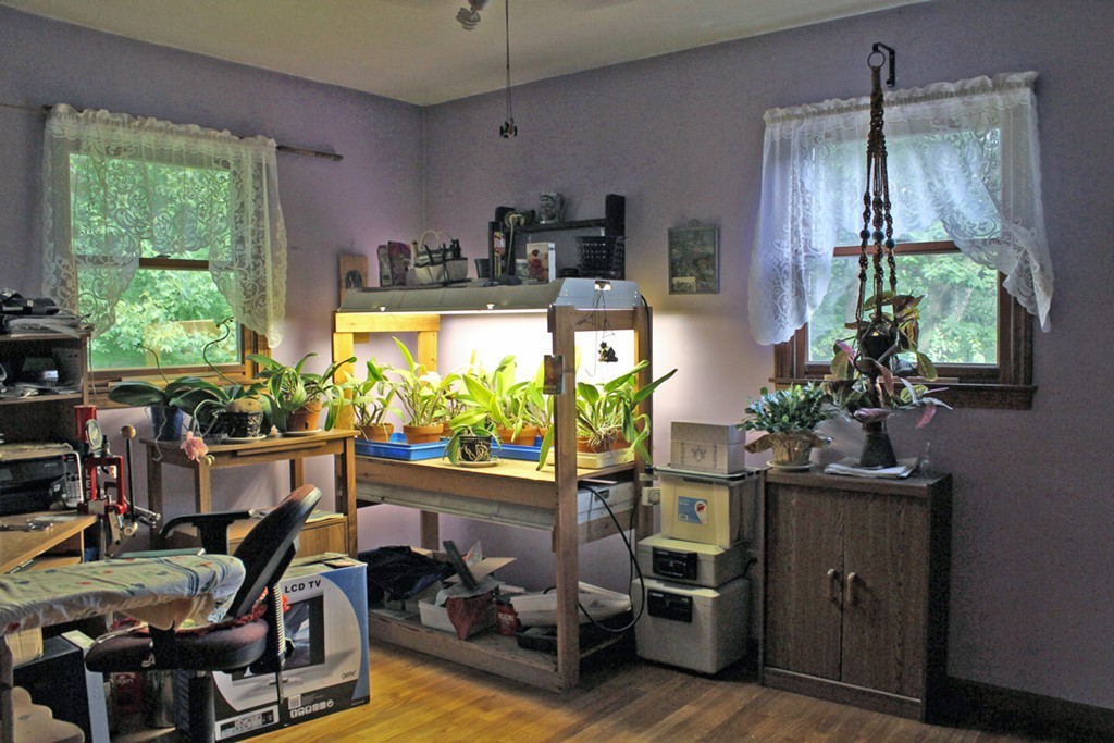 161 Martindale Road Bernardston, MA 01337 - Photo 11 of 30 Gallery Image 11
