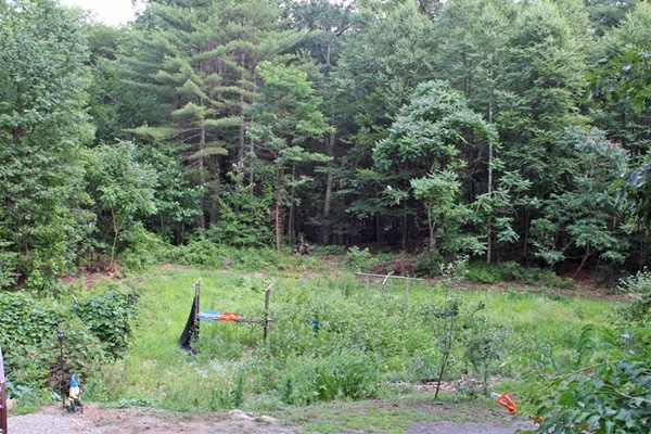 161 Martindale Road Bernardston, MA 01337 - Photo 19 of 30 Gallery Image 19