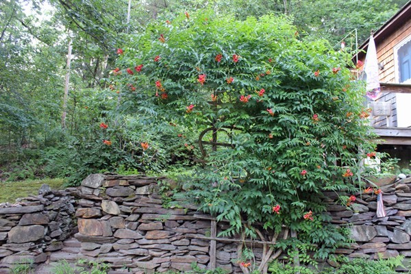 161 Martindale Road Bernardston, MA 01337 - Photo 24 of 30 Gallery Image 24