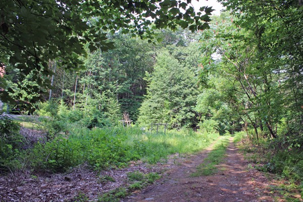 161 Martindale Road Bernardston, MA 01337 - Photo 25 of 30 Gallery Image 25