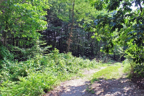 161 Martindale Road Bernardston, MA 01337 - Photo 30 of 30 Gallery Image 30