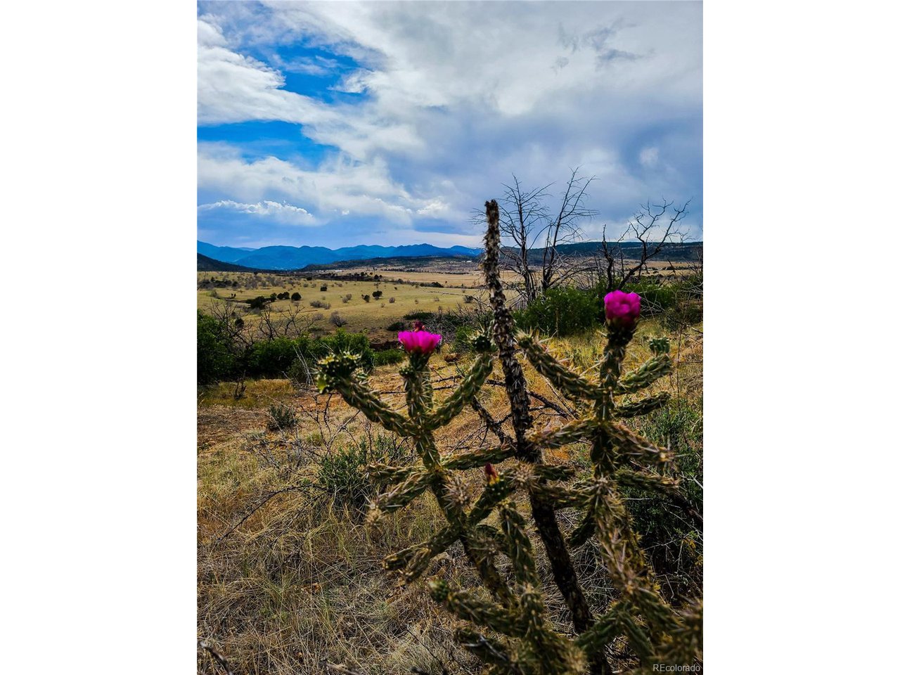 36 Hart Ranch Drive Beulah, CO 81023 - Photo 28 of 30 Canyon Trail