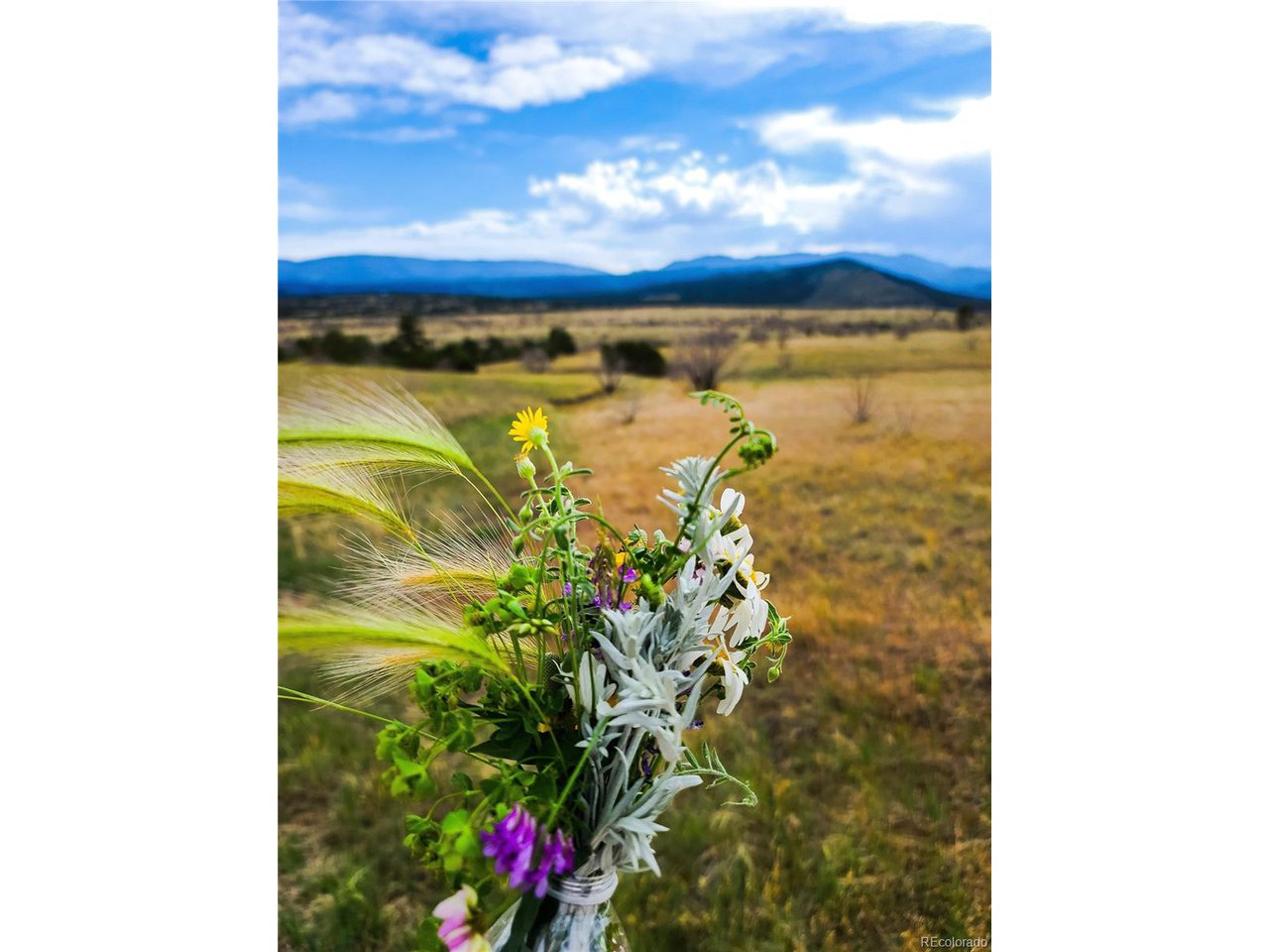 36 Hart Ranch Drive Beulah, CO 81023 - Photo 29 of 30 Canyon Trail