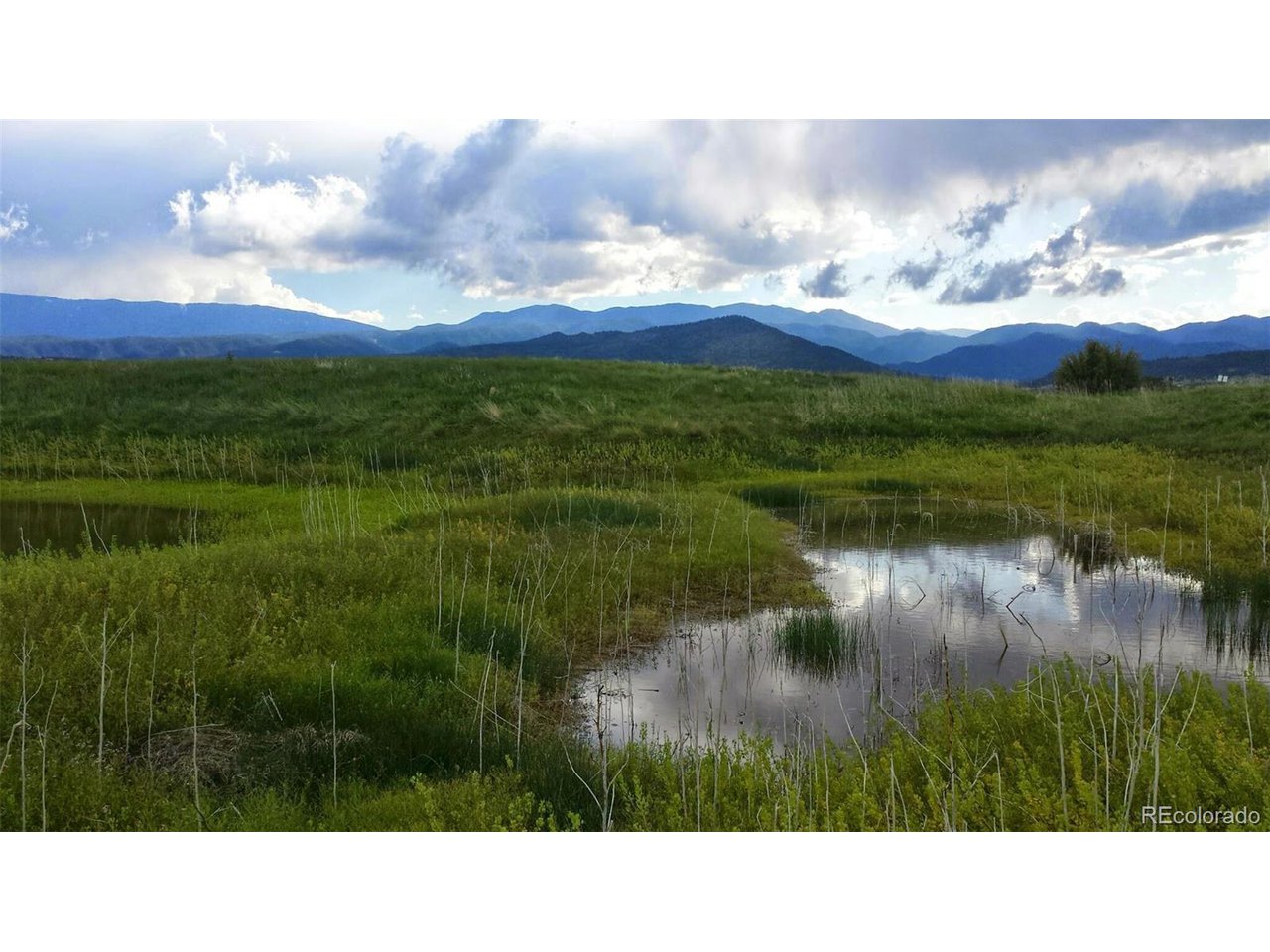36 Hart Ranch Drive Beulah, CO 81023 - Photo 4 of 30