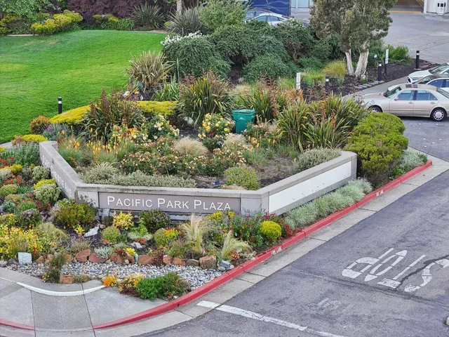 a view of a garden with flowers and flowers
