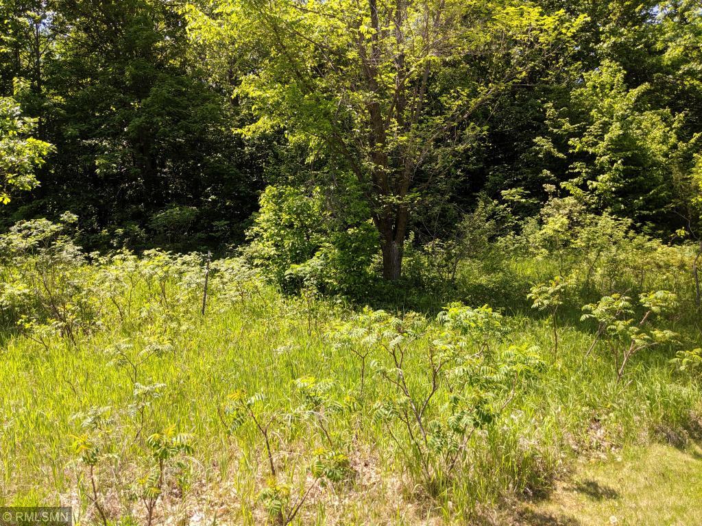 287 Long Prairie Long Prairie, MN 56347 - Photo 1 of 1 Gallery Image 1