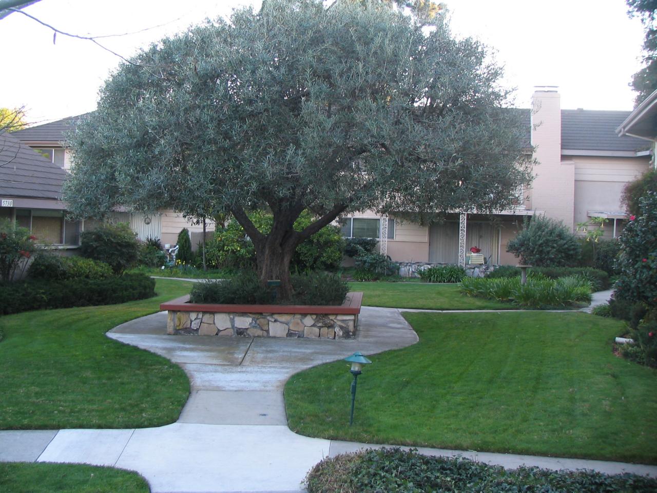 5726 Encina Road, Unit 3 Santa Barbara, CA 93117 - Photo 14 of 26 a view of a house with a yard