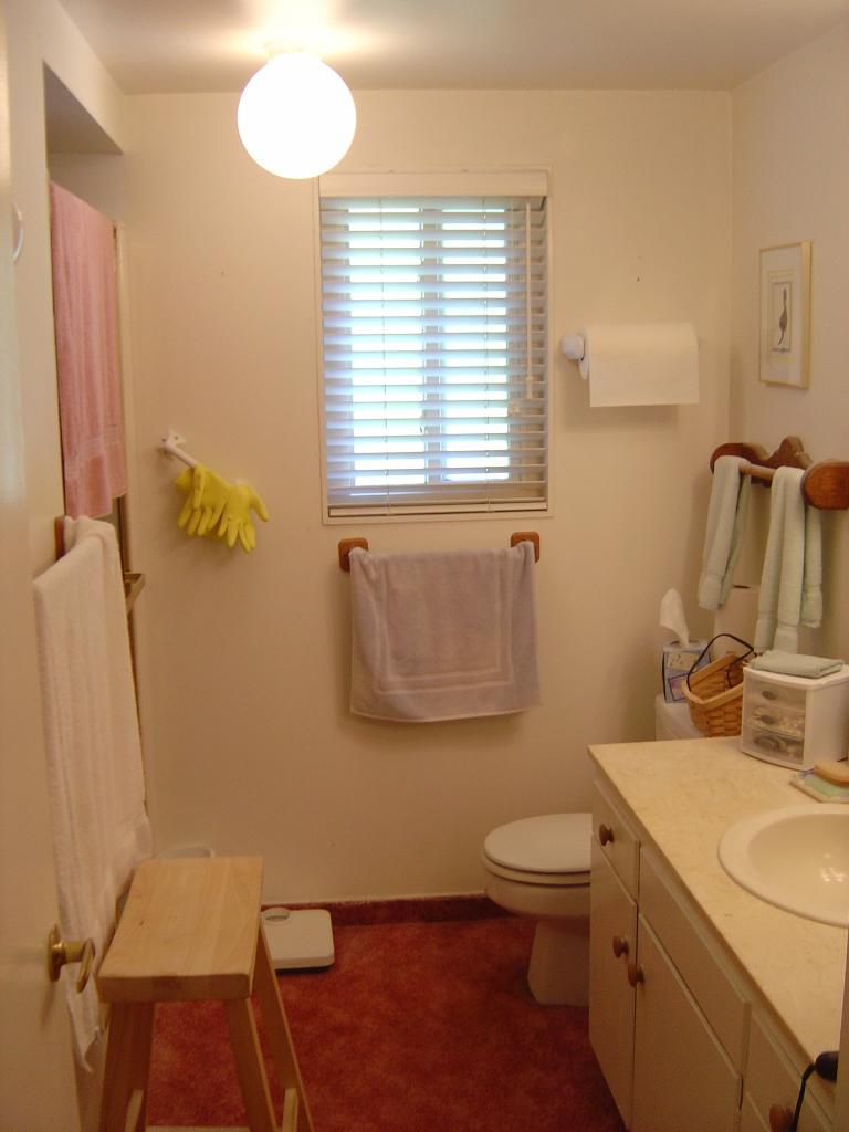 5726 Encina Road, Unit 3 Santa Barbara, CA 93117 - Photo 8 of 26 a bathroom with a sink a toilet and a mirror