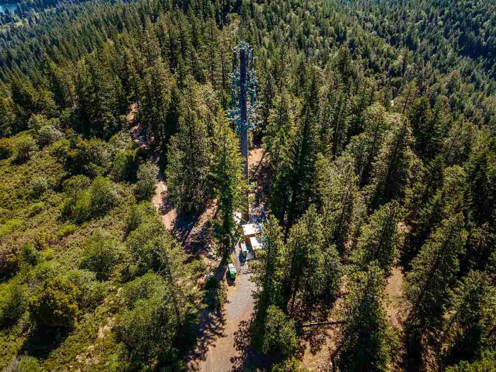 Rainbow Ridge Mount Mount Shasta, CA 96067 - Photo 20 of 21 Gallery Image 20