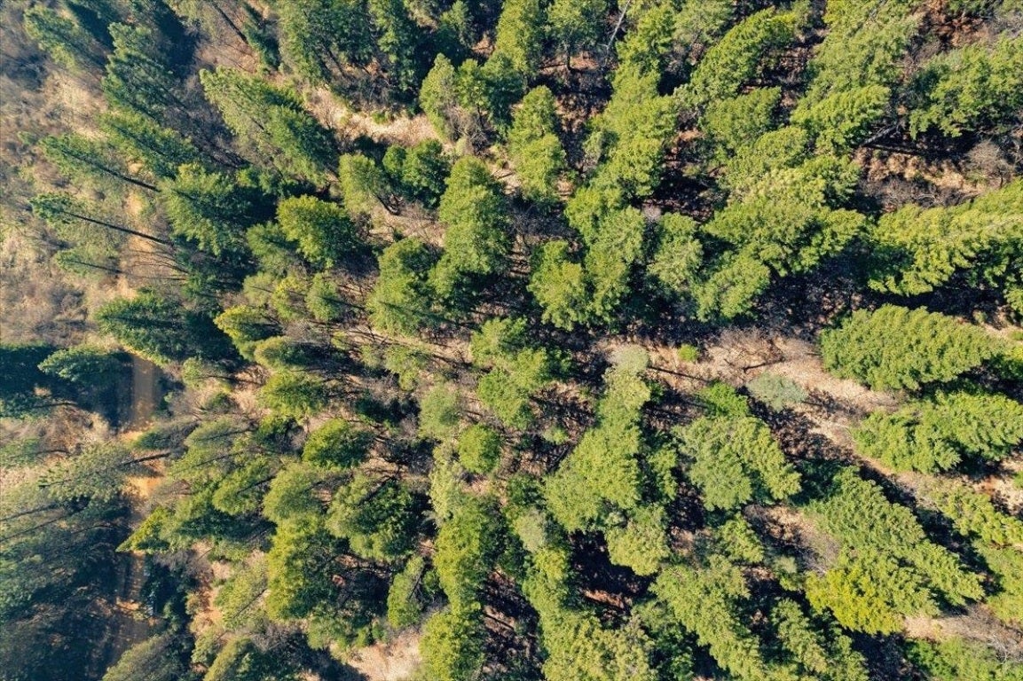 Lot 4 Circle 7 Road McCloud, CA 96057 - Photo 13 of 13 Gallery Image 13