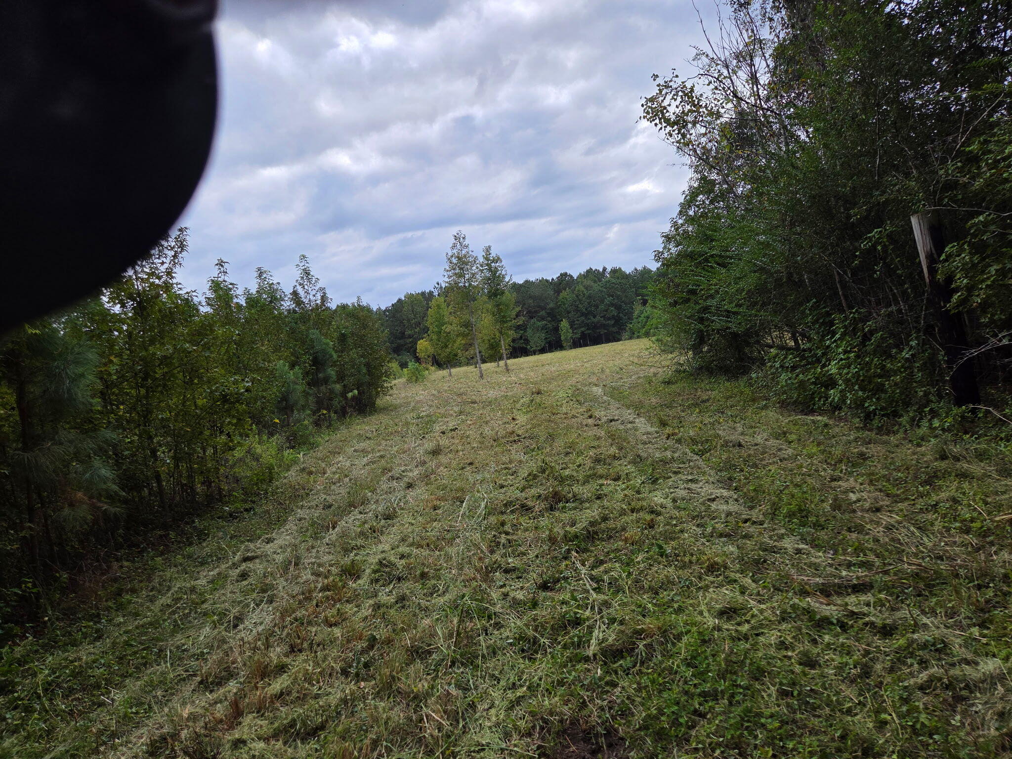 0 Flatwoods Road Reevesville, SC 29471 - Photo 1 of 5 4806027499015210197
