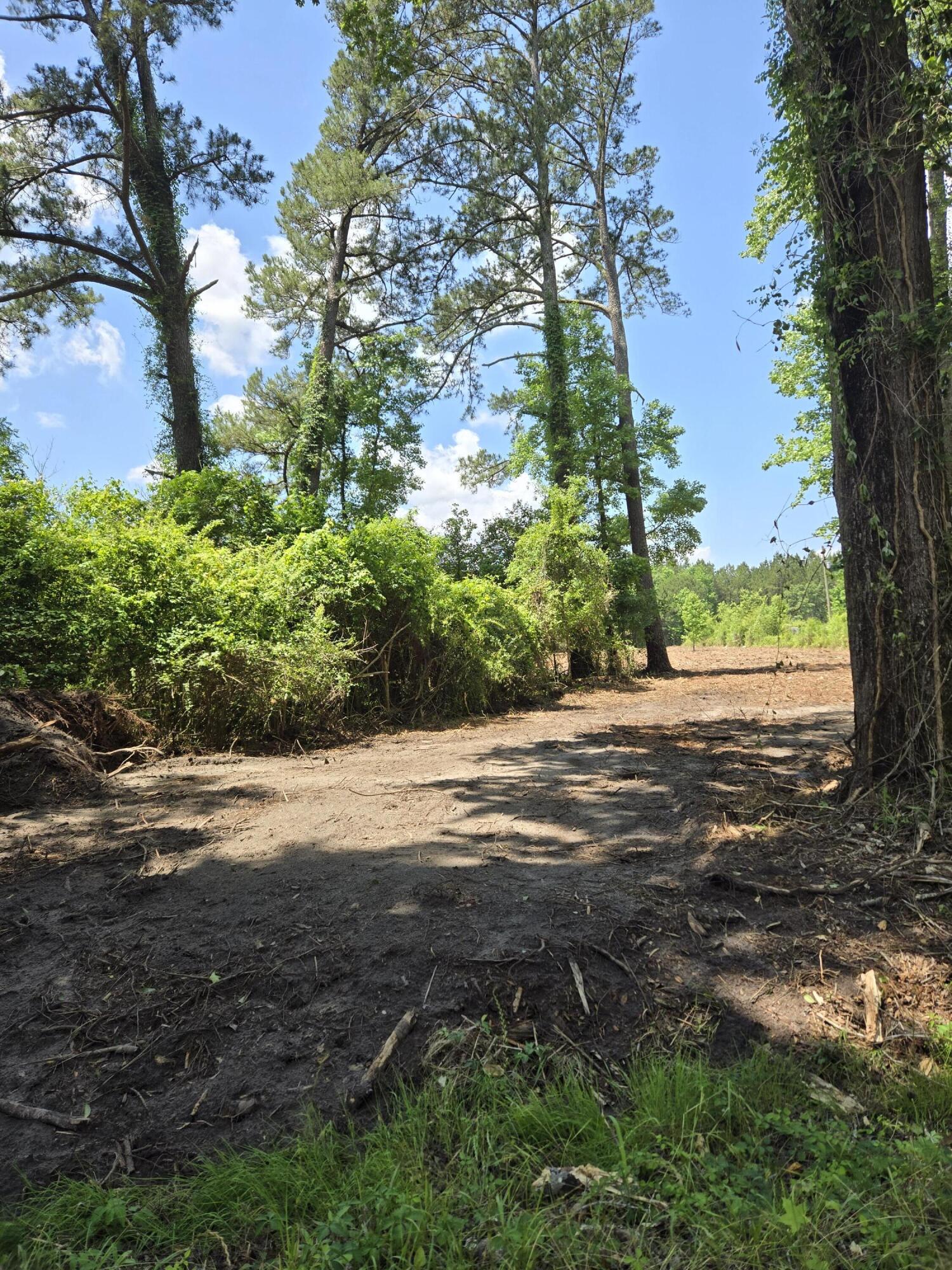 0 Flatwoods Road Reevesville, SC 29471 - Photo 4 of 5 1000003046