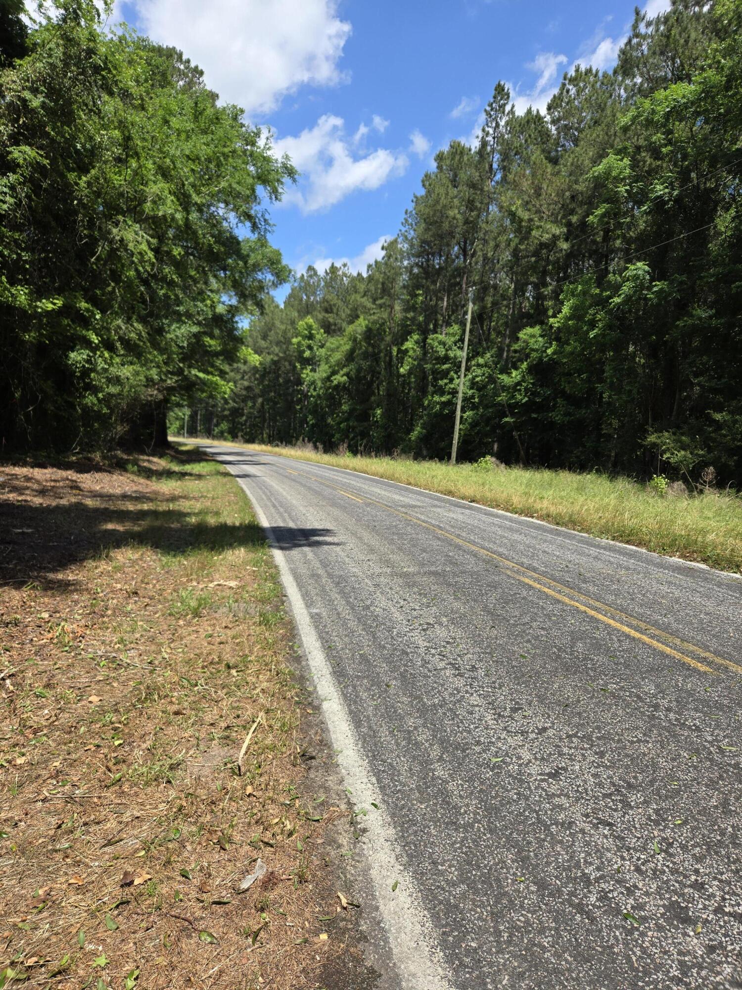 0 Flatwoods Road Reevesville, SC 29471 - Photo 5 of 5 1000003053 (1)
