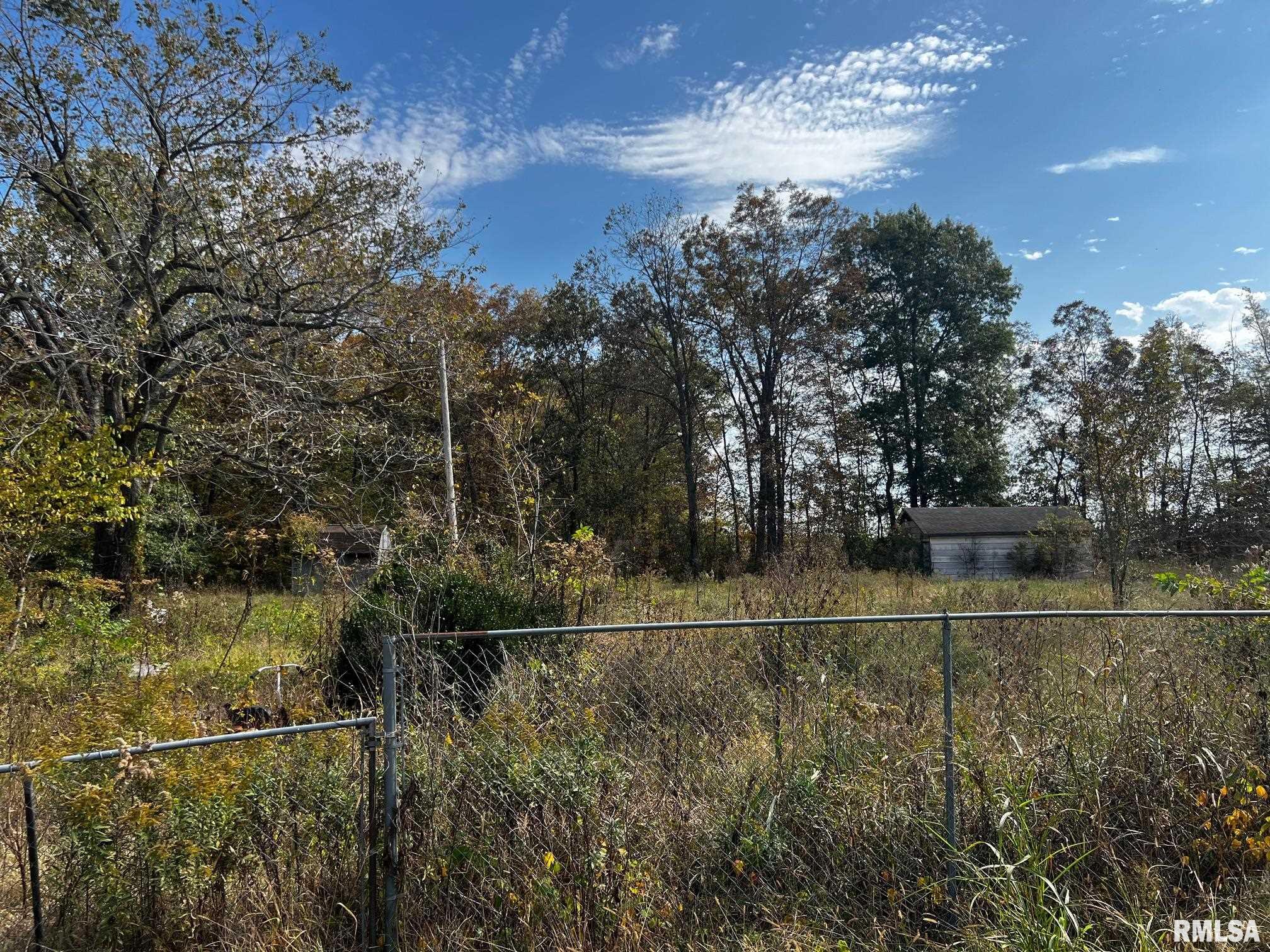 15924 Hurn Street Cairo, IL 62914 - Photo 9 of 9