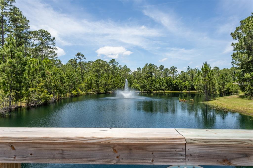18 Bogey Place Bunnell, FL 32110 - Photo 31 of 40 a close up of a lake