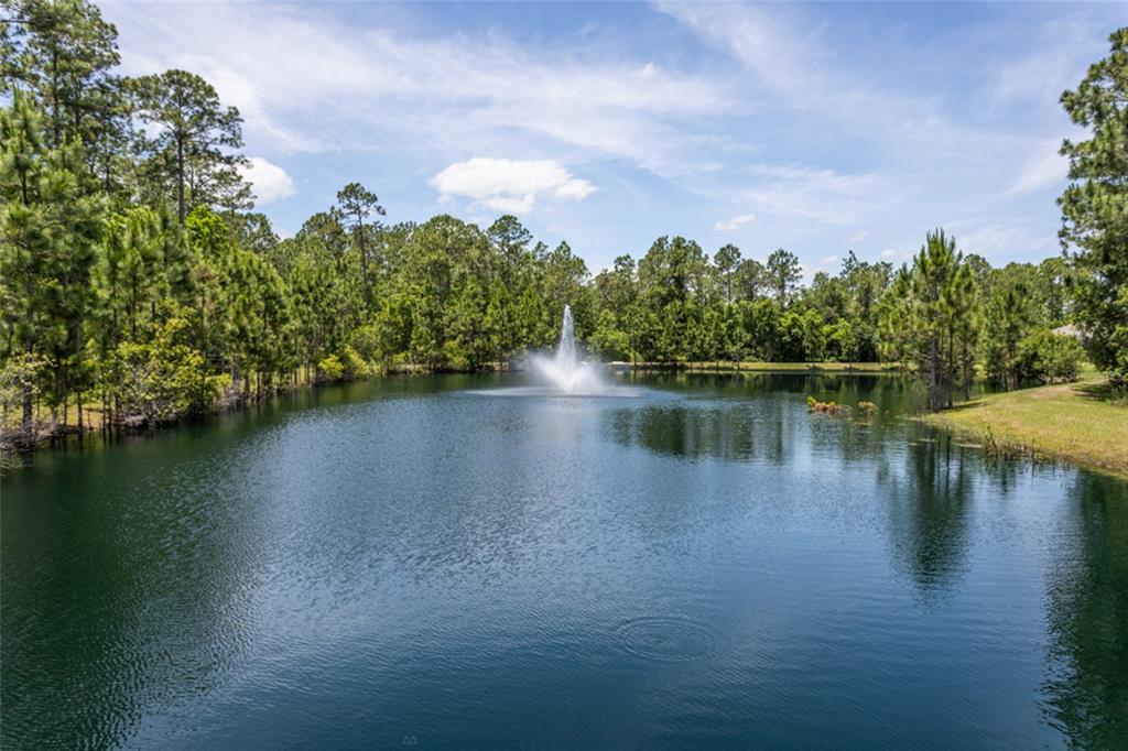18 Bogey Place Bunnell, FL 32110 - Photo 32 of 40 a view of a lake with houses in the background