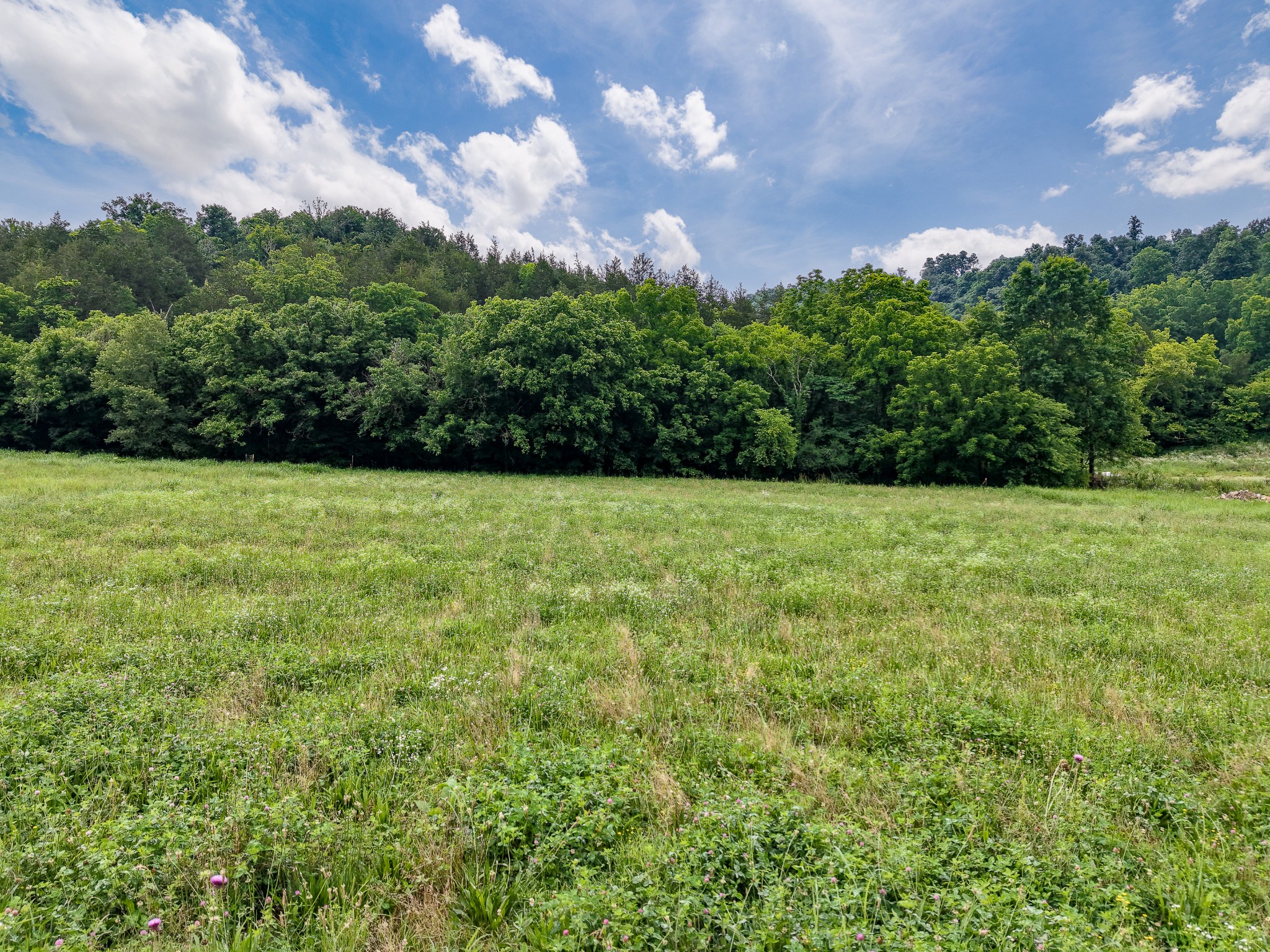 386 Cathcart Road Frankewing, TN 38459 - Photo 3 of 12