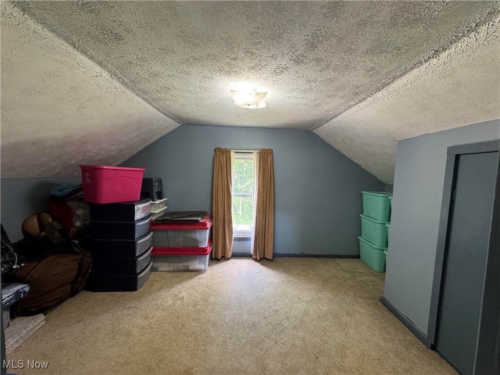 10097 March Road Northeast East Rochester, OH 44625 - Photo 12 of 34 Bonus room with carpet floors, a textured ceiling, and vaulted ceiling