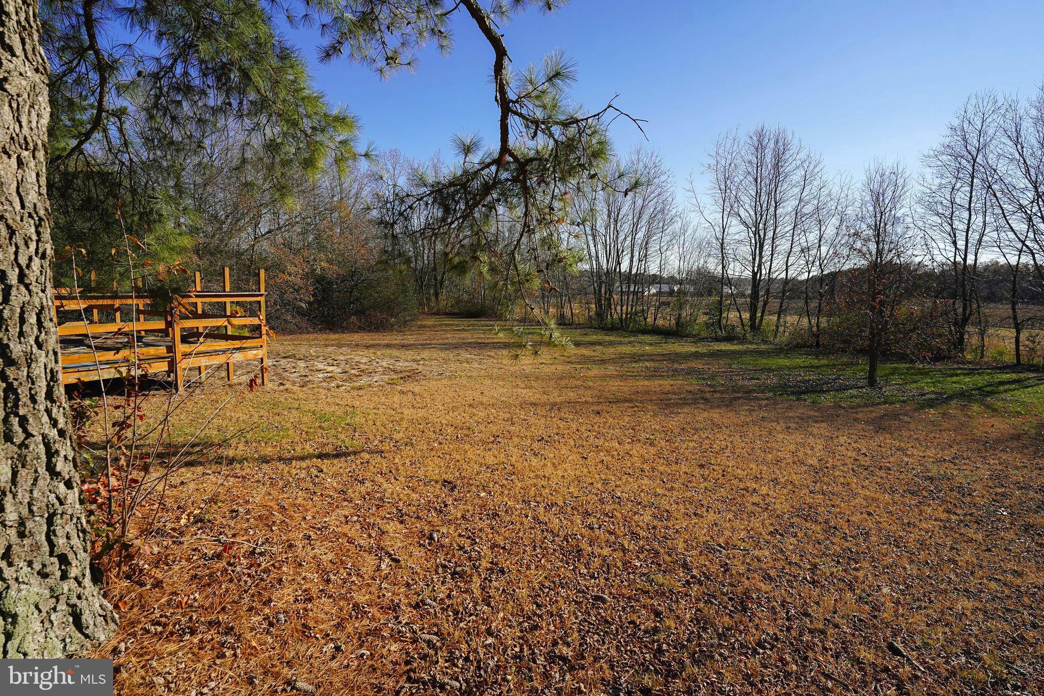 36047 Woodyard Road Willards, MD 21874 - Photo 2 of 29