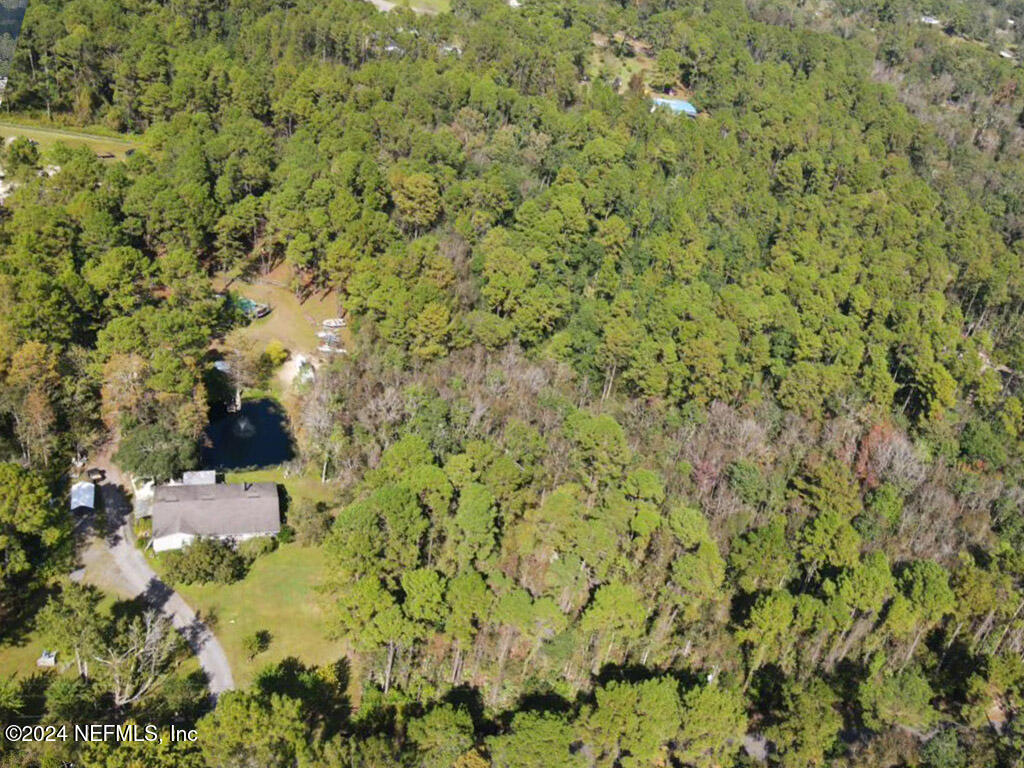 0 Cisco Gardens Road South Jacksonville, FL 32219 - Photo 3 of 12 a view of a plants and small trees