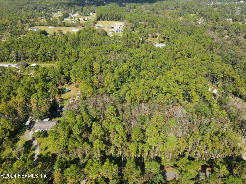 0 Cisco Gardens Road South Jacksonville, FL 32219 - Photo 4 of 12 a view of a bunch of trees and bushes