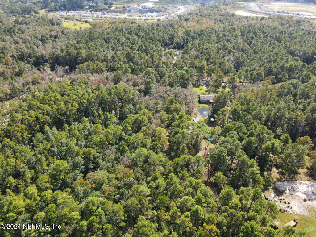 0 Cisco Gardens Road South Jacksonville, FL 32219 - Photo 6 of 12 a view of a forest with a street