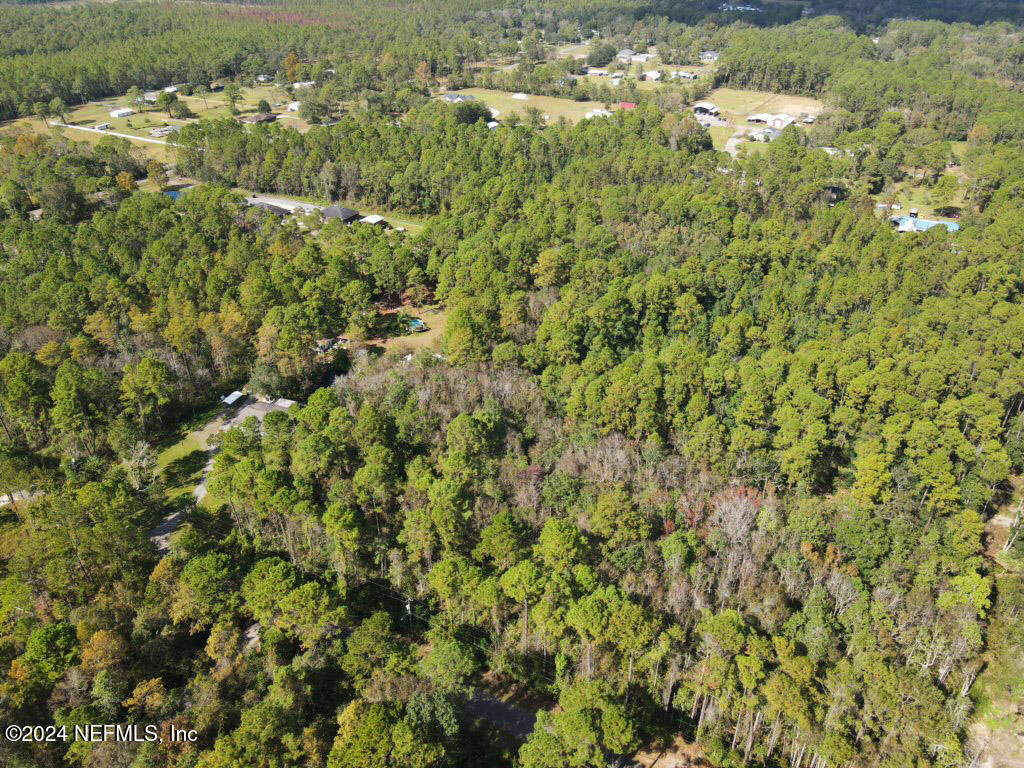 0 Cisco Gardens Road South Jacksonville, FL 32219 - Photo 7 of 12 a view of a bunch of trees