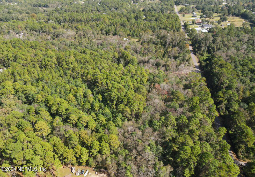 0 Cisco Gardens Road South Jacksonville, FL 32219 - Photo 8 of 12 a view of a big yard with plants and large trees