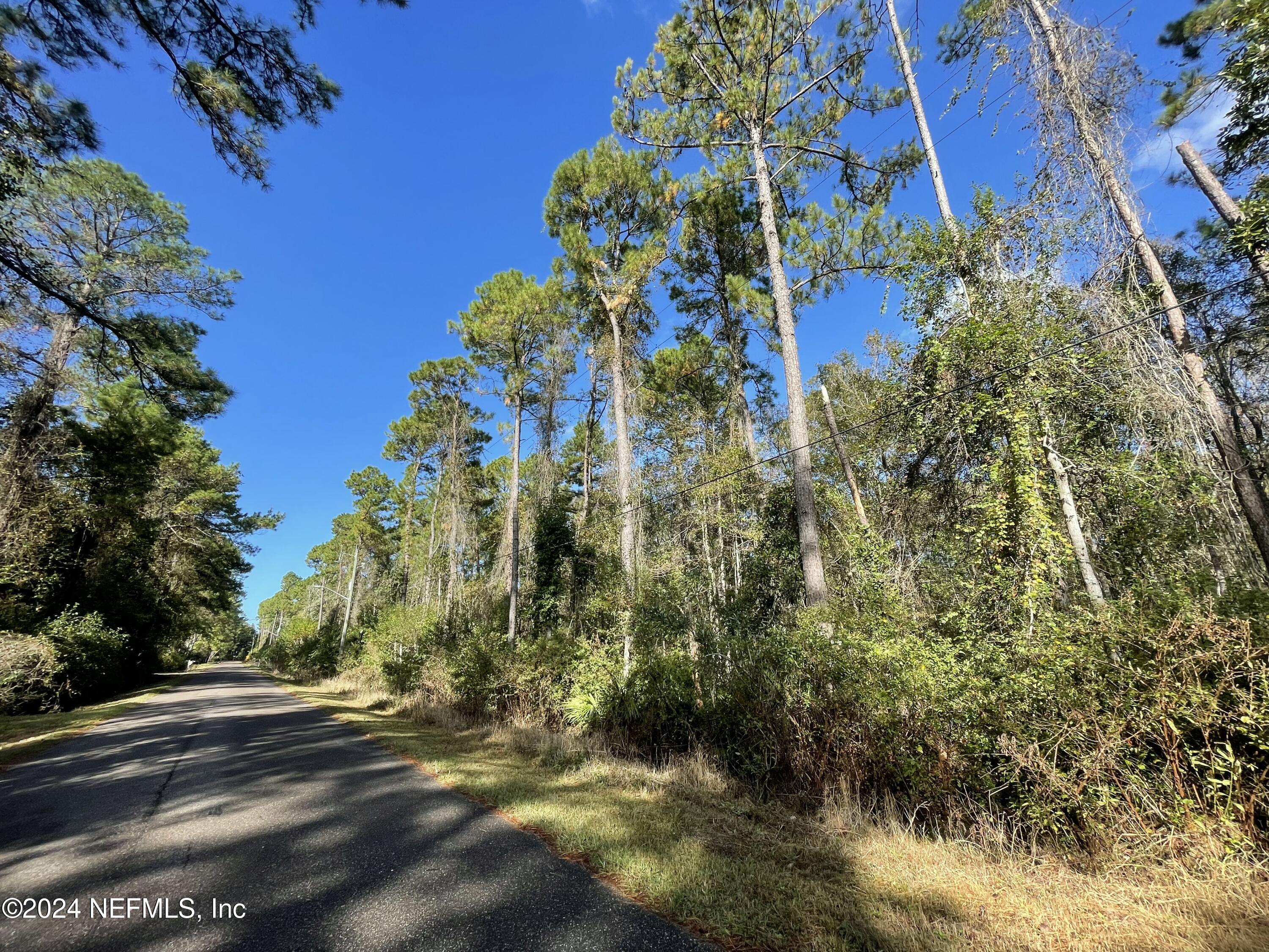 0 Cisco Gardens Road South Jacksonville, FL 32219 - Photo 10 of 12 a view of a bunch of flowers and trees