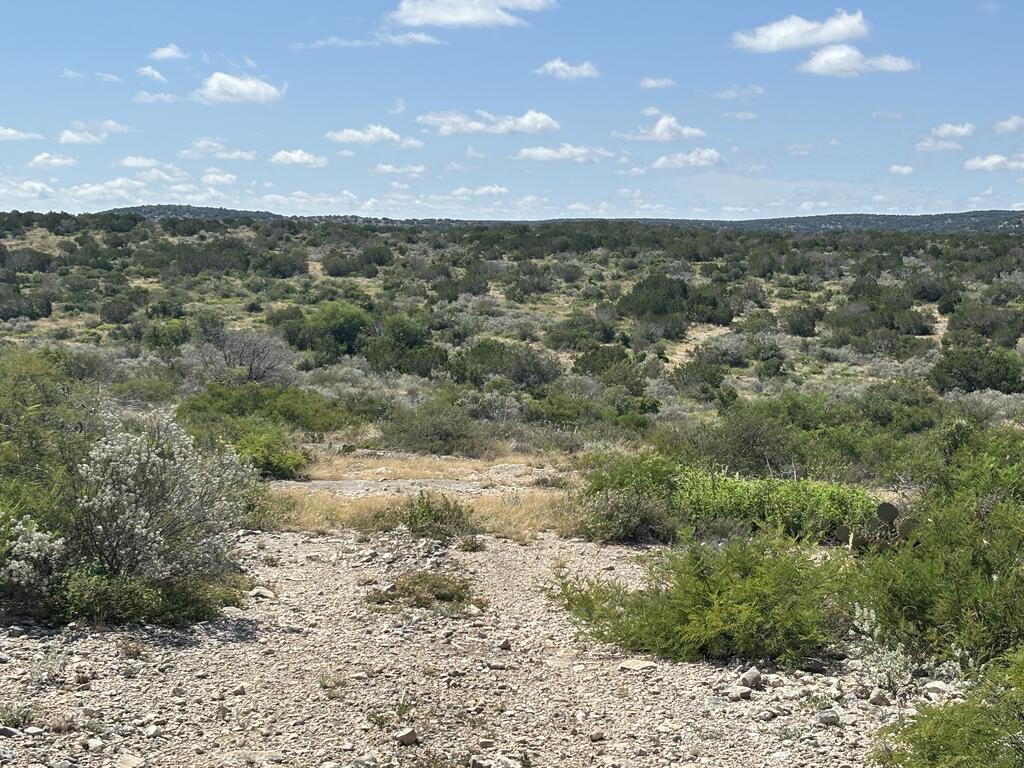 18797 Other Rocksprings, TX 78880 - Photo 16 of 31 Gallery Image 16