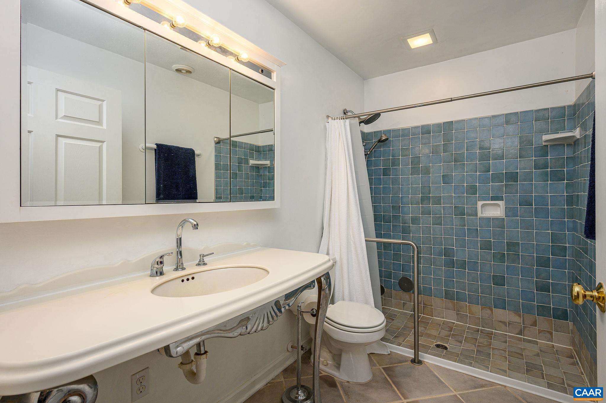 888 Wolf Trap Road Charlottesville, VA 22911 - Photo 32 of 63 a bathroom with a sink a toilet and shower