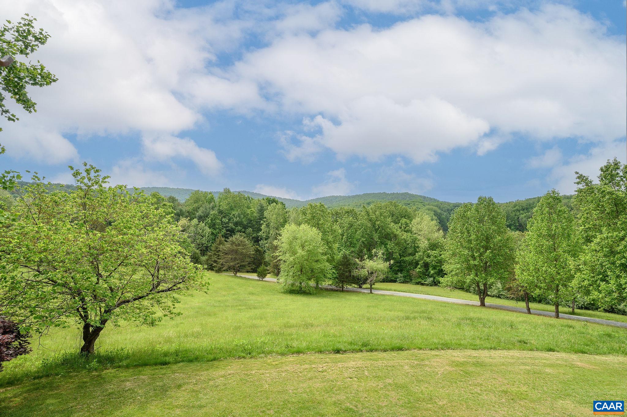 888 Wolf Trap Road Charlottesville, VA 22911 - Photo 4 of 63 a view of a big yard with a large trees