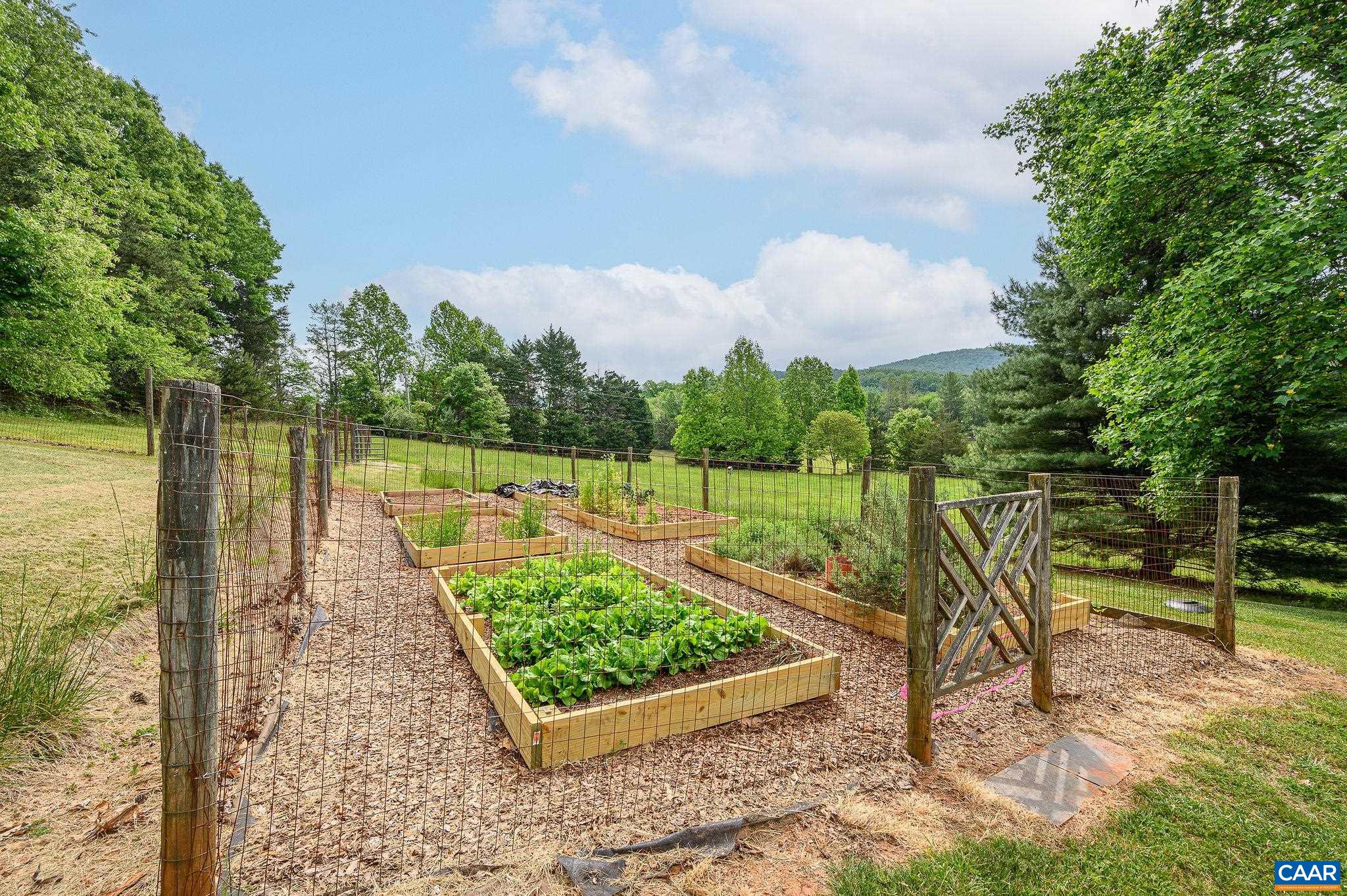 888 Wolf Trap Road Charlottesville, VA 22911 - Photo 42 of 63