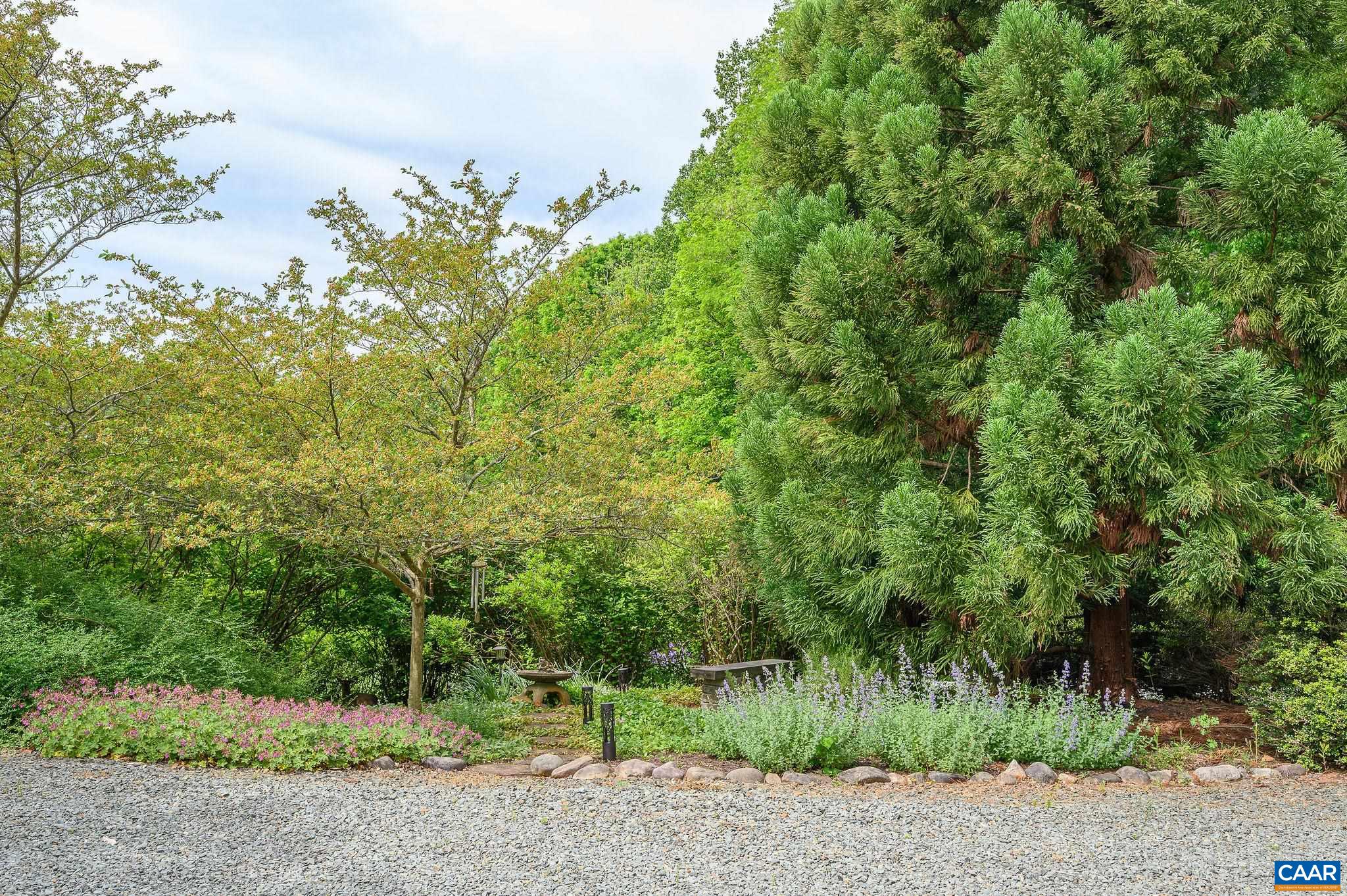 888 Wolf Trap Road Charlottesville, VA 22911 - Photo 45 of 63 a view of a lush green forest