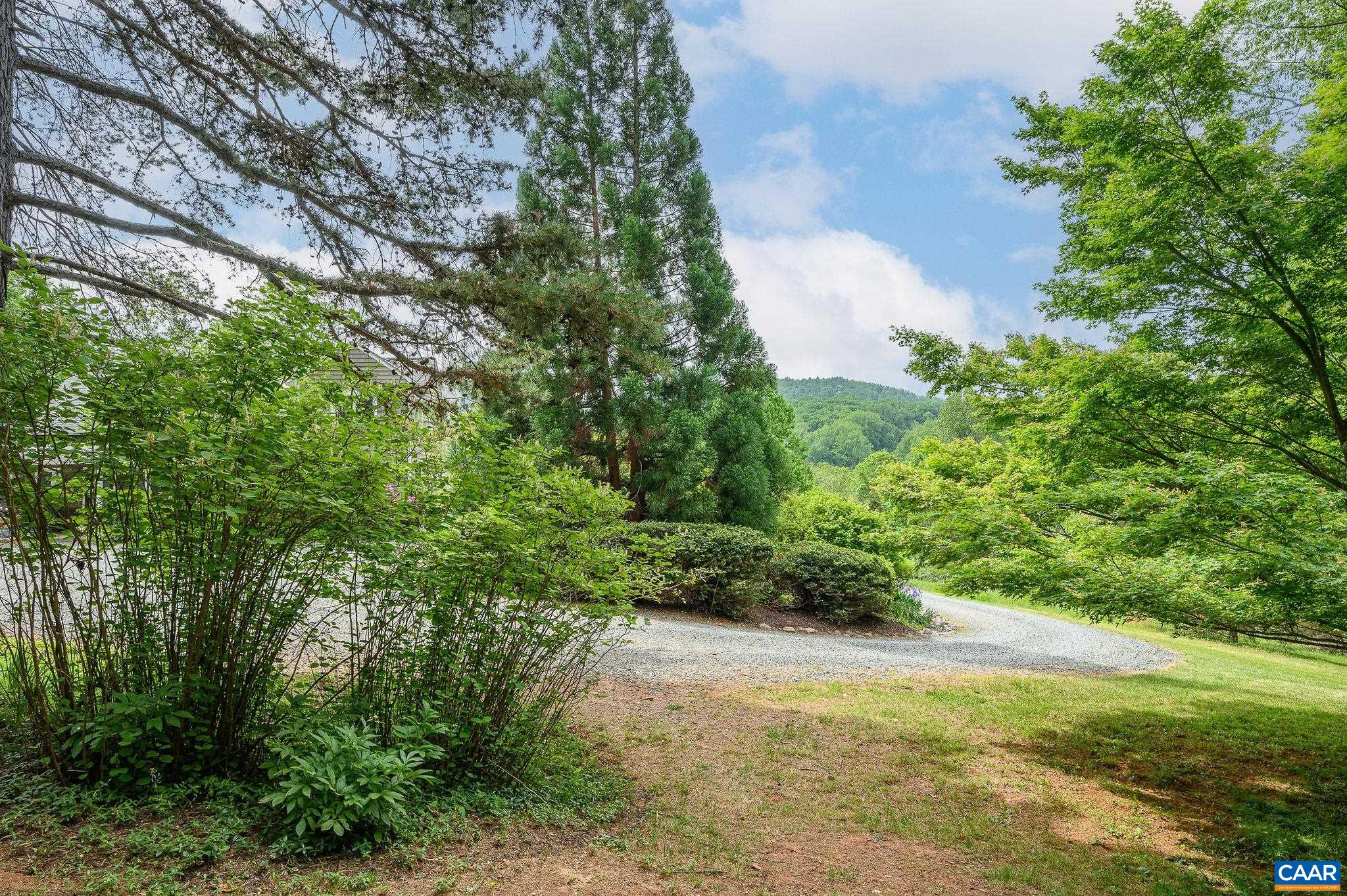 888 Wolf Trap Road Charlottesville, VA 22911 - Photo 49 of 63 a view of a yard with plants and a large tree