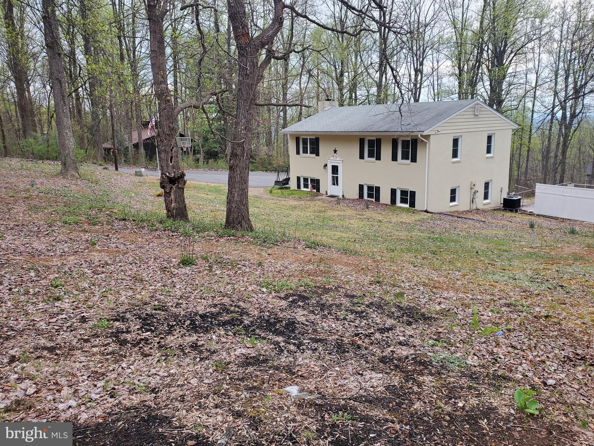 21931 Blue Ridge Mountain Road Paris, VA 20130 - Photo 10 of 61 FRONT OF HOUSE