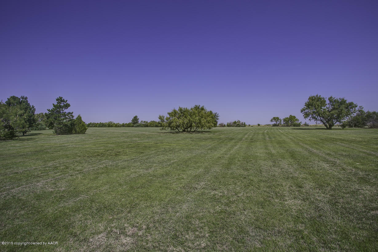1401 Rimsite Drive Amarillo, TX 79118 - Photo 10 of 43 1401 Rimsite