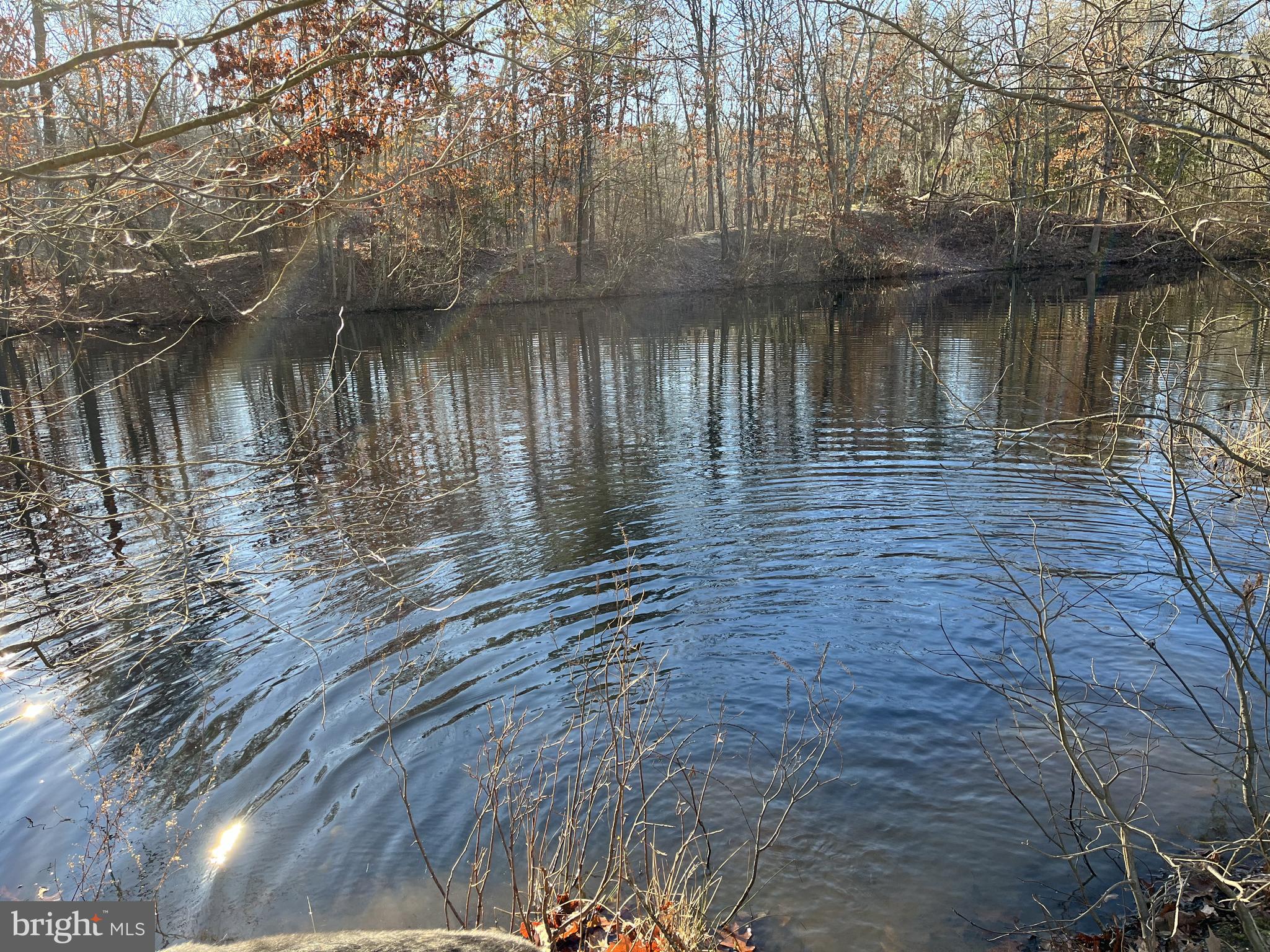 206 Forked Neck Road Shamong, NJ 08088 - Photo 2 of 8 a view of a lake view