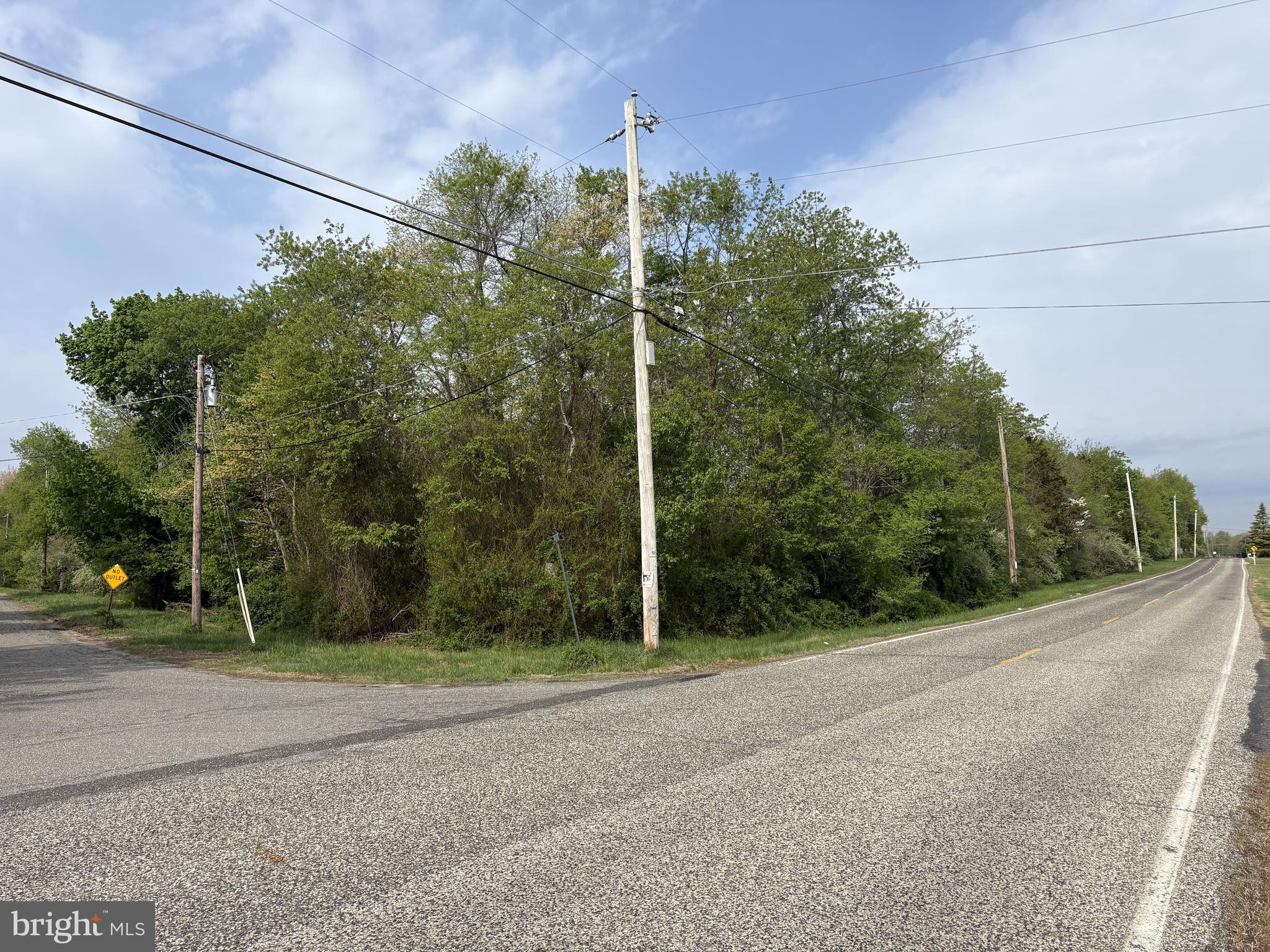 206 Forked Neck Road Shamong, NJ 08088 - Photo 7 of 8 a view of a house with a street