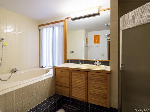 a bathroom with a sink and a bathtub