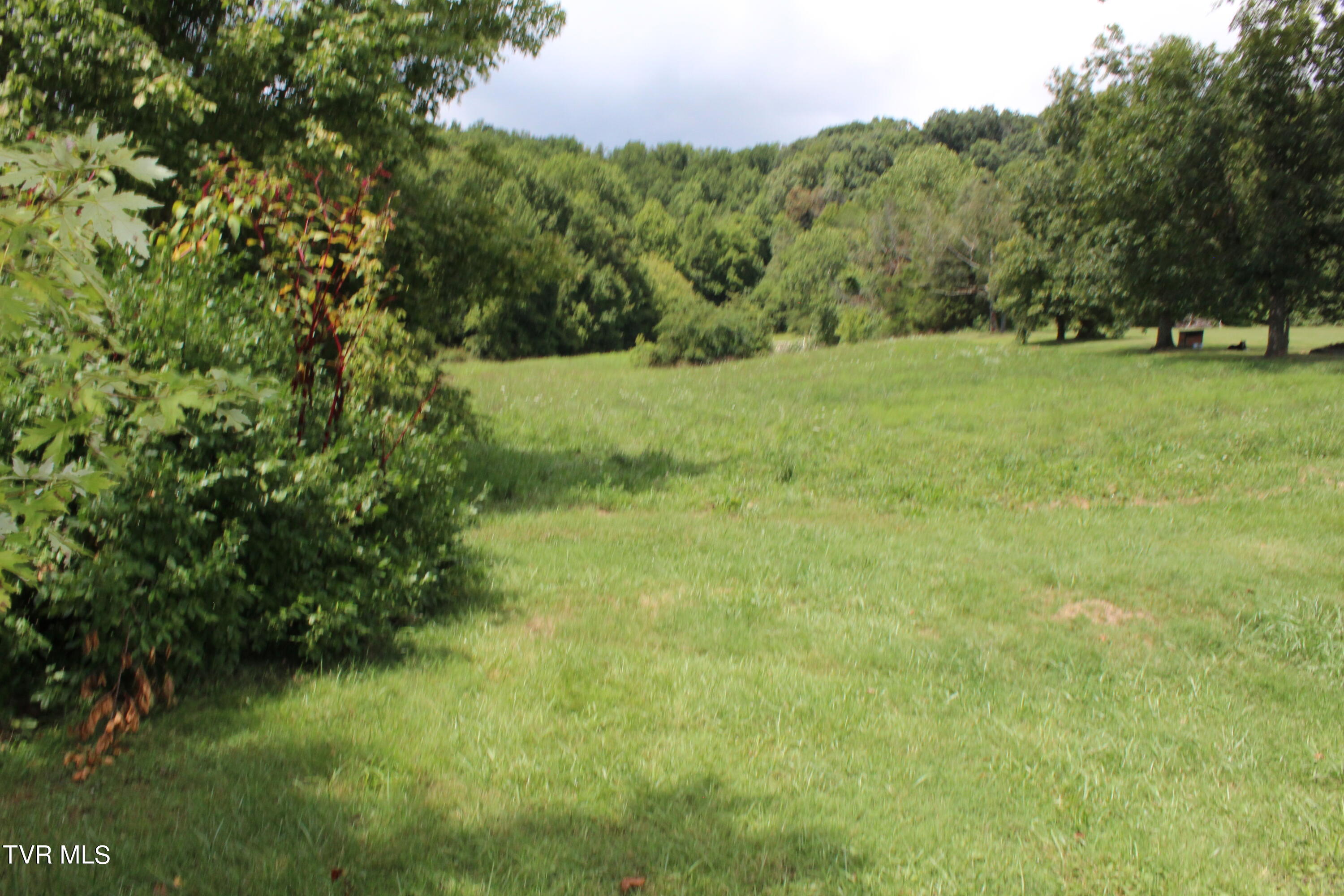 5909 Roseberry Road Kingsport, TN 37660 - Photo 8 of 21 IMG_6506