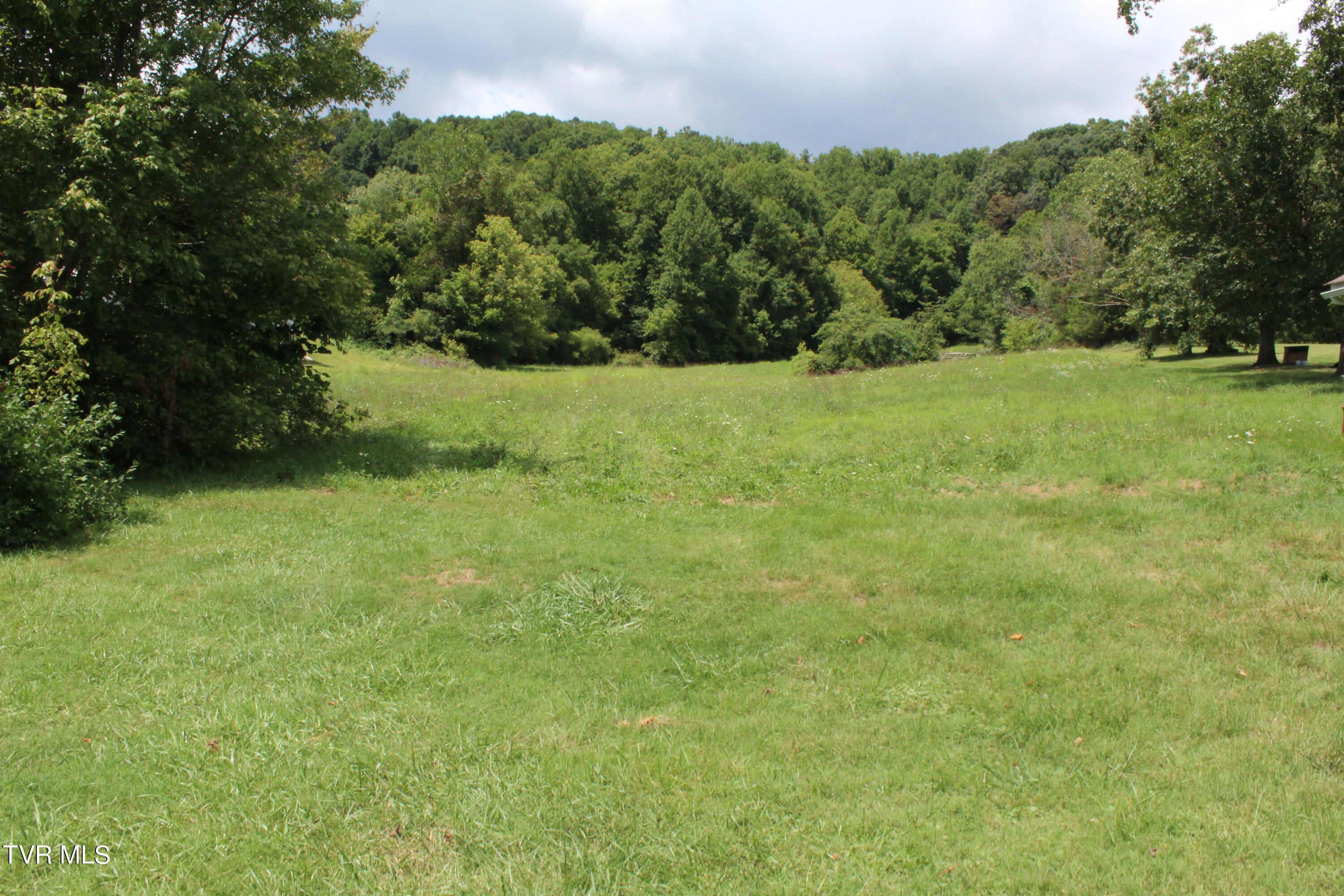 5909 Roseberry Road Kingsport, TN 37660 - Photo 9 of 21 IMG_6507