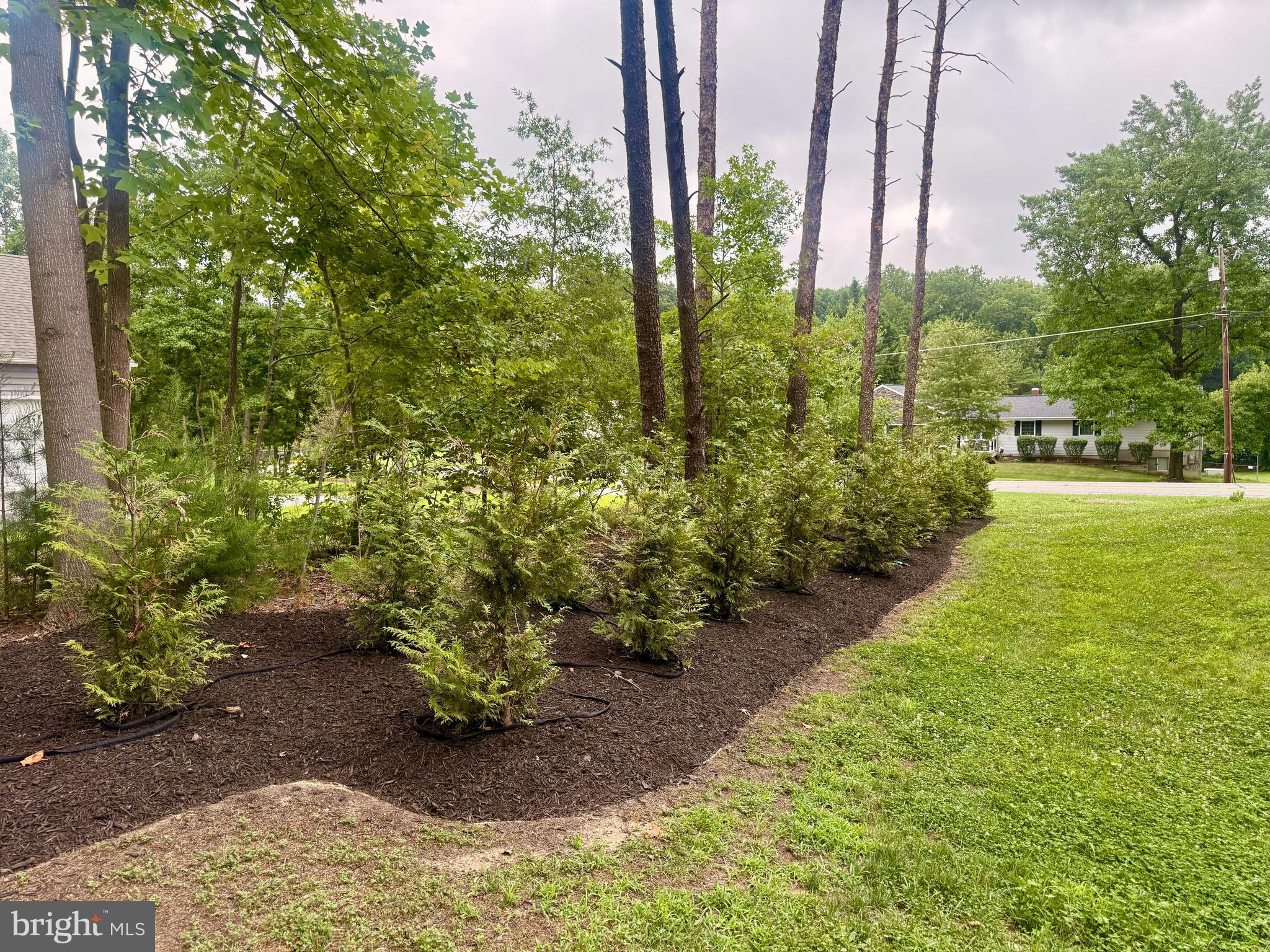 1921 Montevideo Road Jessup, MD 20794 - Photo 48 of 48 CHARMING GARDEN